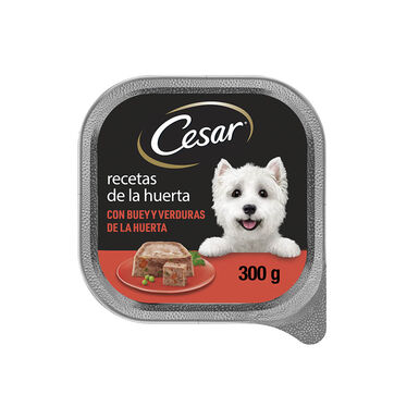 Cesar buey y verduras tarrina con paté para perros